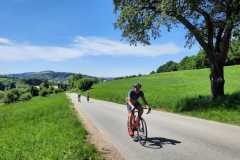 IMG-20220514-WA0008