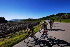 IMG-20210925-WA0022