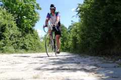 IMG-20210613-WA0022