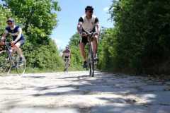 IMG-20210613-WA0024
