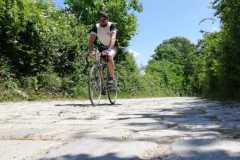 IMG-20210613-WA0026