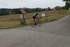 IMG-20220925-WA0022